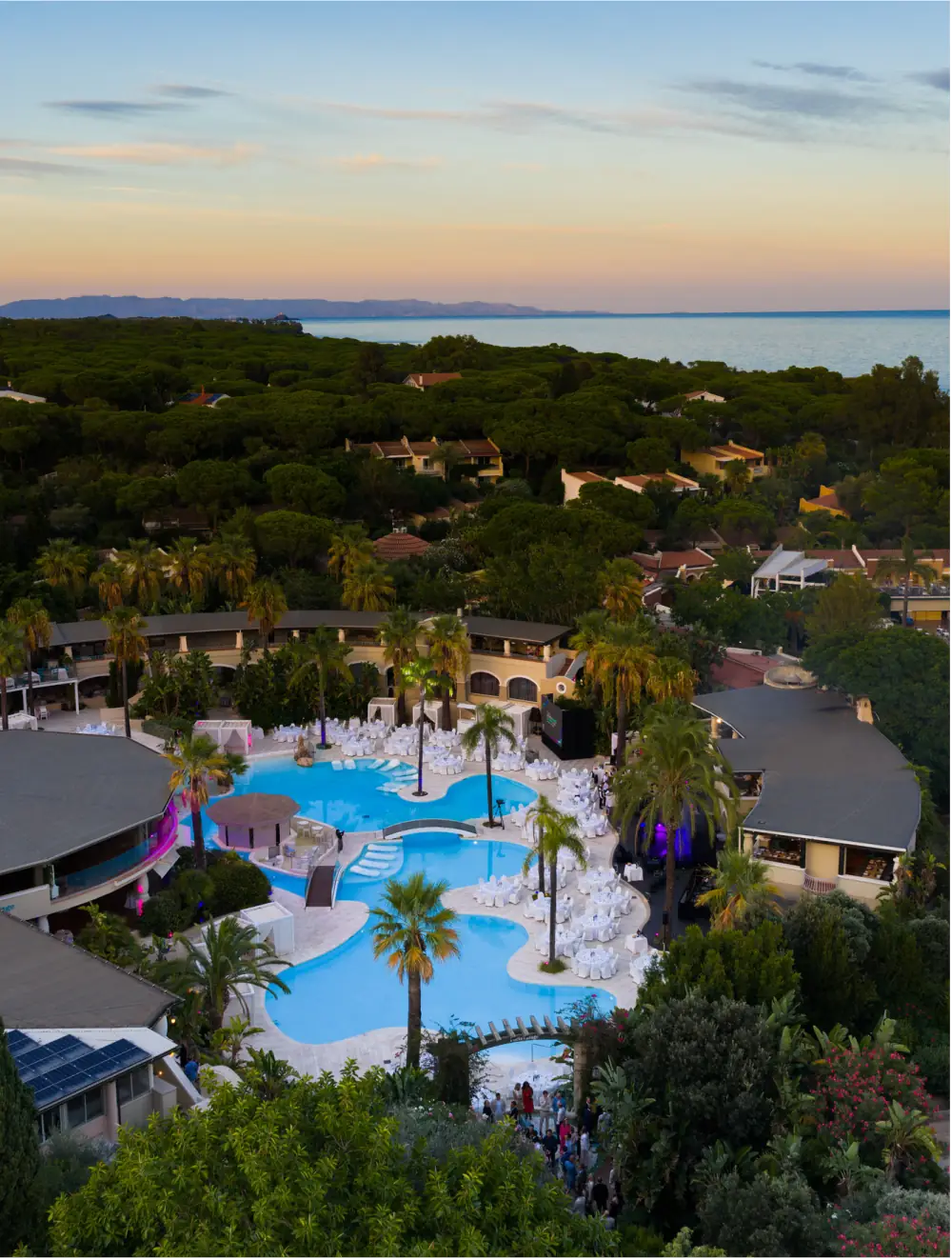 Palm Trees and Pools